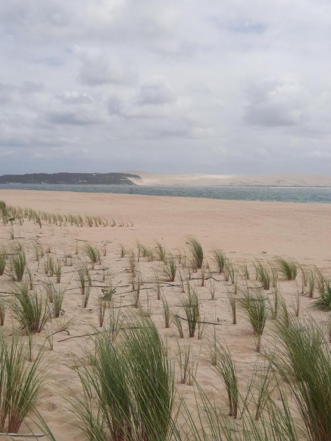 Dune La Teste-de-Buch Extérieur photo